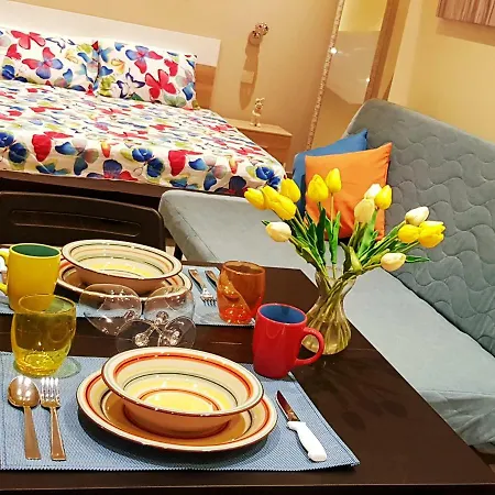 Luxury Designer Finished Studio In Apartament