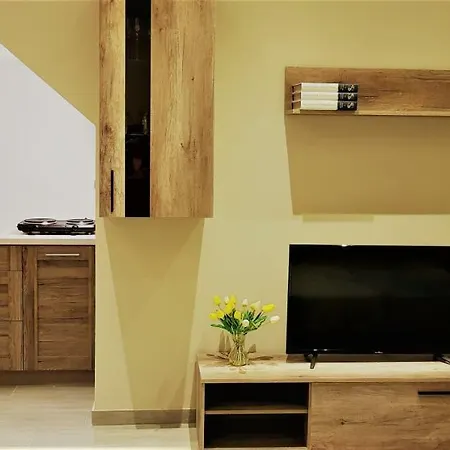 Luxury Designer Finished Studio In Apartament *